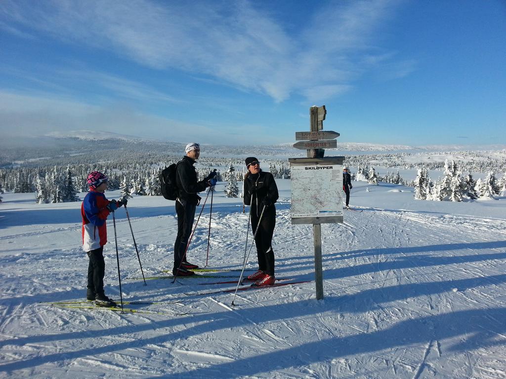 Lillehammer Fjellstue Og Hytteutleie Nordseter Exterior foto