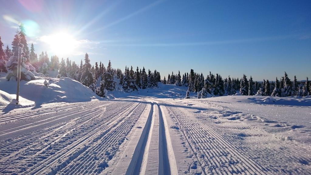 Lillehammer Fjellstue Og Hytteutleie Nordseter Exterior foto